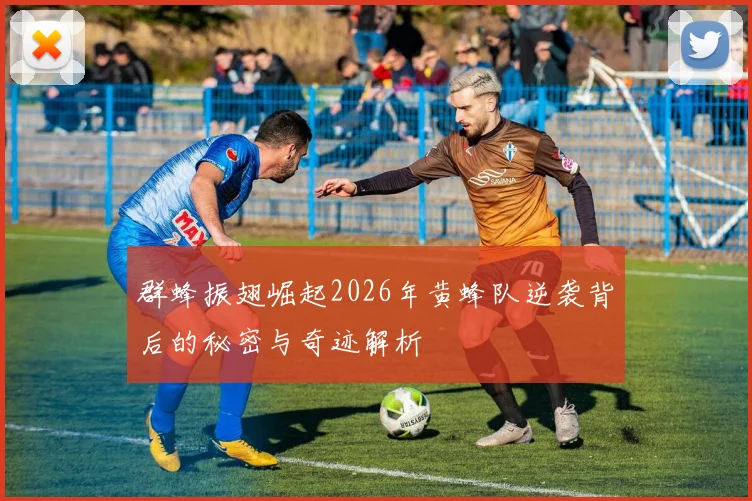 群蜂振翅崛起2026年黄蜂队逆袭背后的秘密与奇迹解析