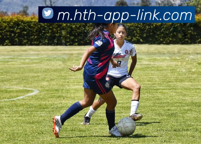 华体会品牌故事